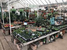 1985) is an american journalist, photographer and a staff writer for time magazine. Houseplants For Beginners Abode Denver Real Estate