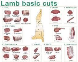 lamb carcass cuts offals buy lamb lamb six way cuts sheep product on alibaba com