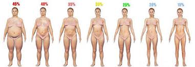 body fat calculator