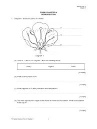 Koordinasi dan gerakbalas 3.1 homeostasis dalam benda hidup. Exercise Set2 Form 3 Chapter 4 Pdf
