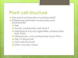 We did not find results for: Plant Cell Structure Topic 4 4a Specification Topic 4 2 Compare The Ultrastructure Of Plant Cells Cell Wall Chloroplasts Amyloplasts Vacuole Tonoplast Ppt Download