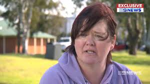 Family holiday ruined after son's service dog refused entry to Marion  Holiday Park