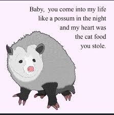 Raccoon Opossum Memes Straight Outta The Trash Possum Funny Opossum Possum