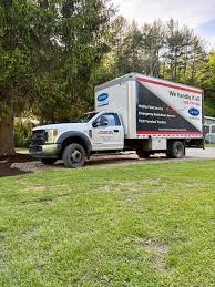 Image result for Tree Green 2018 Fleet