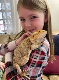 Beardie care for an 8-year-old beginner