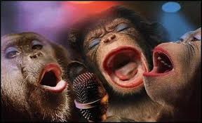 Résultat de recherche d'images pour "les singes drôles"