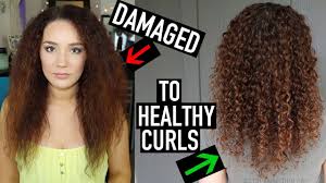 Your curls won't hold their definition), it's most likely a result of damage from heat, chemical processing, or mechanical friction (think brushing, combing, or detangling roughly). How To Transition To Naturally Curly Hair 10 Steps To Curly Hair For Beginners Youtube