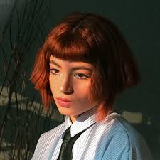 Image result for Bewsia