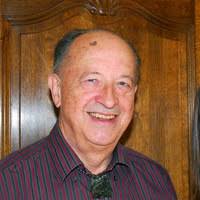 Image result for Strychnos gossweileri