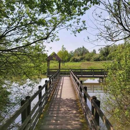 Promenade au Parc des Ansereuilles, situ&eacute; &agrave; #Wavrin 😍 . . . . . Un beau  moment captur&eacute; par @nicolas.btl 📸 #espacenaturel #de&ucirc;le #wavrin  #ViveLeNord #departement59 #lille