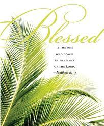 1 kings 7:36 | view whole chapter | see verse in context for on the plates of the ledges thereof, and on the borders thereof, he graved cherubims, lions, and palm trees, according to the proportion of every one, and additions round about. Palms Bible Quotes Quotesgram