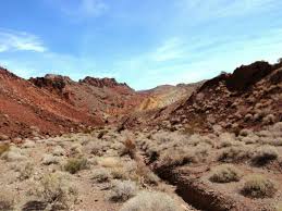 Yuma events & activities video. Cactus Gardens Rv Resort Updated 2021 Prices Specialty Resort Reviews Yuma Az Tripadvisor