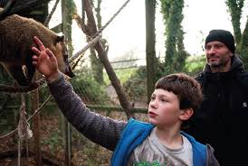 La mia vita è uno zoo bdrip (2012). Vuoi Superare Un Trauma Buttati In Un Progetto Nuovo Millionaire 23