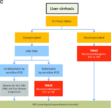 Hepatitis b is a serious liver infection caused by the hepatitis b virus (hbv). Management Of Chronic Hepatitis B An Overview Of Practice Guidelines For Primary Care Providers American Board Of Family Medicine