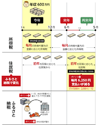 ふるさと納税のしくみと年内にやるべき6つの理由 徹底解説