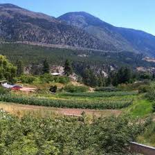 Has been mapped at 1,500 hectares (3,700 acres). Learn About Farming And Living Off The Land On Our Organic Sustainable Farm In Lytton Bc Canada