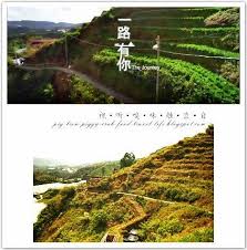 视 听 嗅 味 触 直 自 金马伦 美兰村 一路有你 拍摄地点 cameron highlands kea farm the journey filming location cameron highlands travel life farmland
