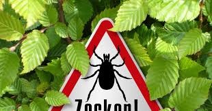 Myhomebook was kann man gegen zecken im garten tun? Zecken Im Garten Eine Unterschatzte Gefahr Fsme Borreliose Tipps Mein Schoner Garten