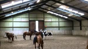 Give valid reasons or evidence to support an answer or conclusion. Herd Behavior Commonlit Answer Key