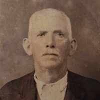 Domenico Meller (1872–1953)