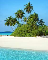 Danielle Travel On Instagram Hi All Just Sending You Through Some Tropical Vibes I Am Sure Beautiful Beaches Island Vacation Tropical Beaches