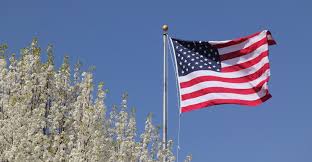 Maybe you would like to learn more about one of these? Plant A Patriotic Flagpole Garden My Garden Life