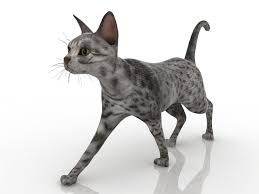 Cat 3d Model Download For Free In 2020 Animals Cats Animal Free