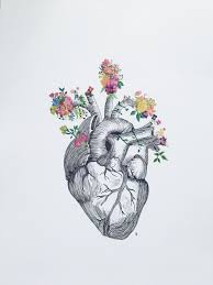 Drawings of flowers and hearts pencil drawings hearts with wings and banners drawing art skethes. Drawing Flower Hart Novocom Top