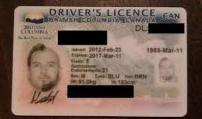 Funniest Driver License Pictures Driving Licence Photo License Photo Drivers License Pictures