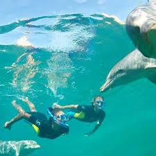 Atlantis Nassau Day Pass: Aquatic Adventures On Paradise Island - Nassau  Guide