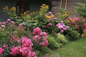 Gartenmenschen Interview Mit Meiner Schwagerin Viola Luhn Stromergarten Einfach Aufbluhen Patio Pots Plants Patios