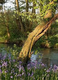 Pin By Susan Edghill On Europe English Countryside Scenery Countryside