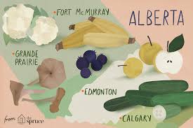 In 2020, wild life's annual alberta botanical gin visited the rhubarb fields. Alberta Seasonal Fruits And Vegetables