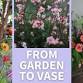 From Garden to Vase: Grow Your Own Cut Flowers All Year Long