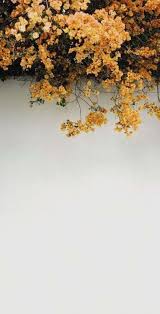 62 Trendy Ideas 90s Aesthetic Wallpaper Vintage Yellow Iphone Wallpaper Yellow Flower Phone Wallpaper Beautiful Flowers Wallpapers