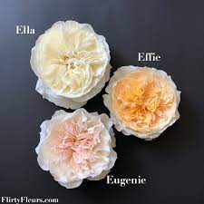 Check spelling or type a new query. Three New Varieties Of David Austin Cut Roses Flirty Fleurs The Florist Blog Inspiration For Floral Designers