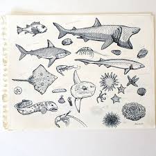 This Item Is Unavailable Etsy Original Ink Drawing Shark Illustration Original Ink