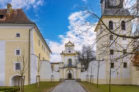 Image result for k%u0159i%u017E k pruhovan 