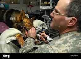 Rhinoscopy hi-res stock photography and images