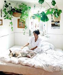 Building the frame is sometimes easier than crafting the canopy itself. Canopy Bed Plants Google Search Home Bedroom Bedroom Design Bedroom Inspirations