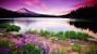 Desktop Nature Wallpaper For Laptop