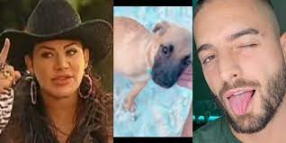17 febrero, 2021 natalia gaviria lady noriega, maluma, mascota, natalia gaviria. No Se Que Me Quisiste Decir Con Eso Pero Me Dolio Lady Noriega A Maluma Por Ponerle Su Nombre A Perrita Minuto30 Com