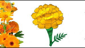 Pin On How To Drawing For Kids Are you new to the graphics fairy? pin on how to drawing for kids