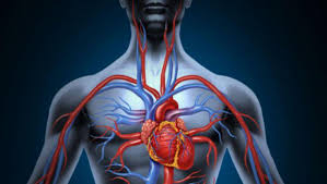 Piciorul diabetic este un picior care prezinta orice patologie care rezulta direct din diabetul zaharat sau orice complicatie pe termen lung (sau cronica) a proasta circulatie a sangelui in brate si in picioare este numita boala vasculara periferica. Cum Iti Afecteaza Organele Proasta Circulatie A Sangelui Buna Ziua Iasi Bzi Ro