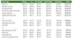 Elm Trees Provide Highest Value Of Any Urban Tree Save The