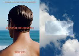 Editions De Parfum Frederic Malle Made Thought Graphic Design Posters Grafik Design Graphic Design