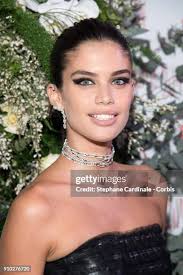 1,666 Sara Diamond Stock Photos, High-Res Pictures, and Images