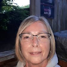 Shark stick vac from Costco