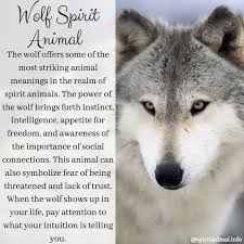 Wolf Spirit Animal Totem Meaning Wolf Spirit Animal Spirit Animal Totem Wolf Spirit