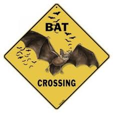 Bat Themed Ornaments Household Goods Batgoods Com